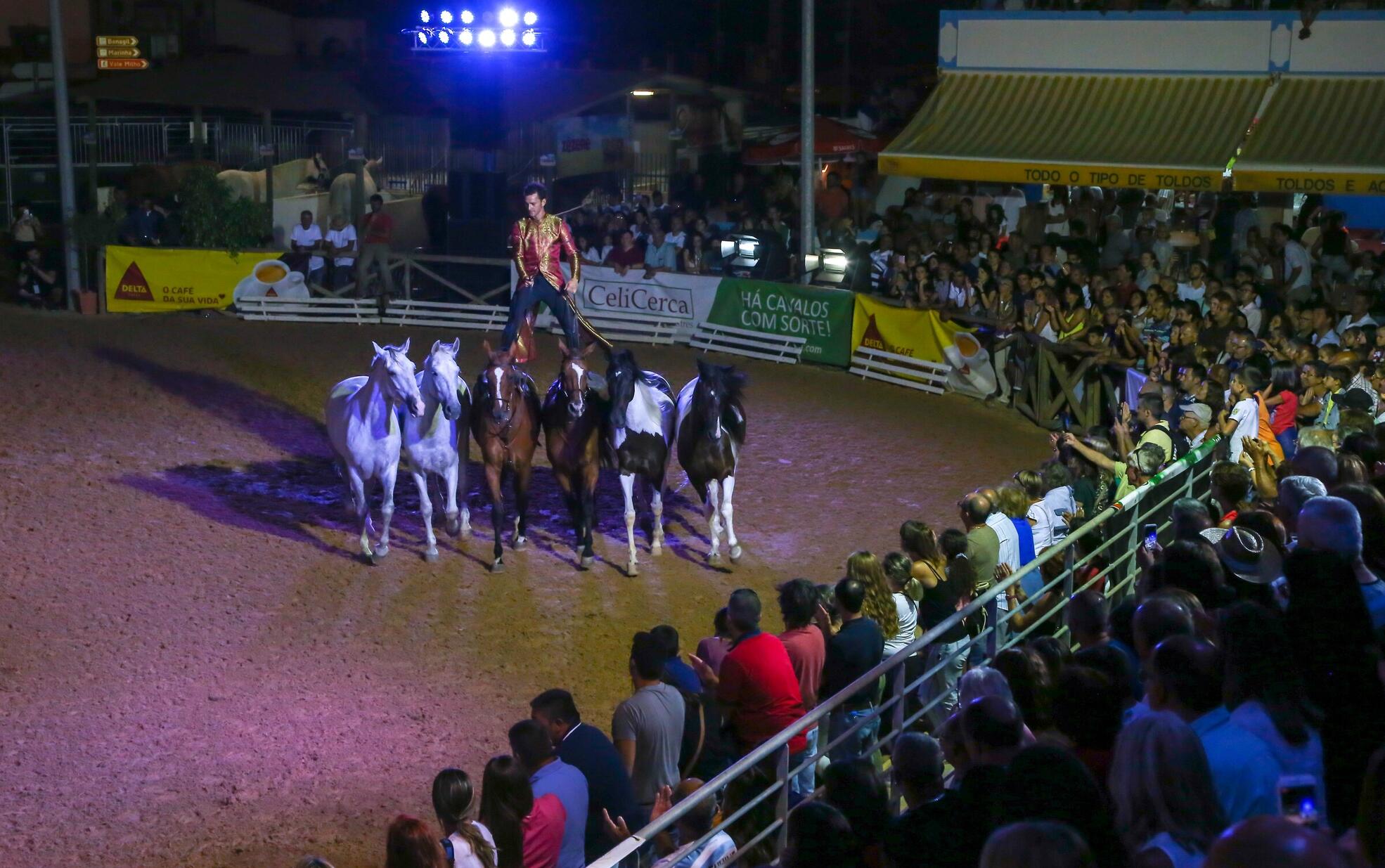 42ª Edição da FATACIL apresenta um Programa Equestre ambicioso com cavaleiros de renome nacional ...