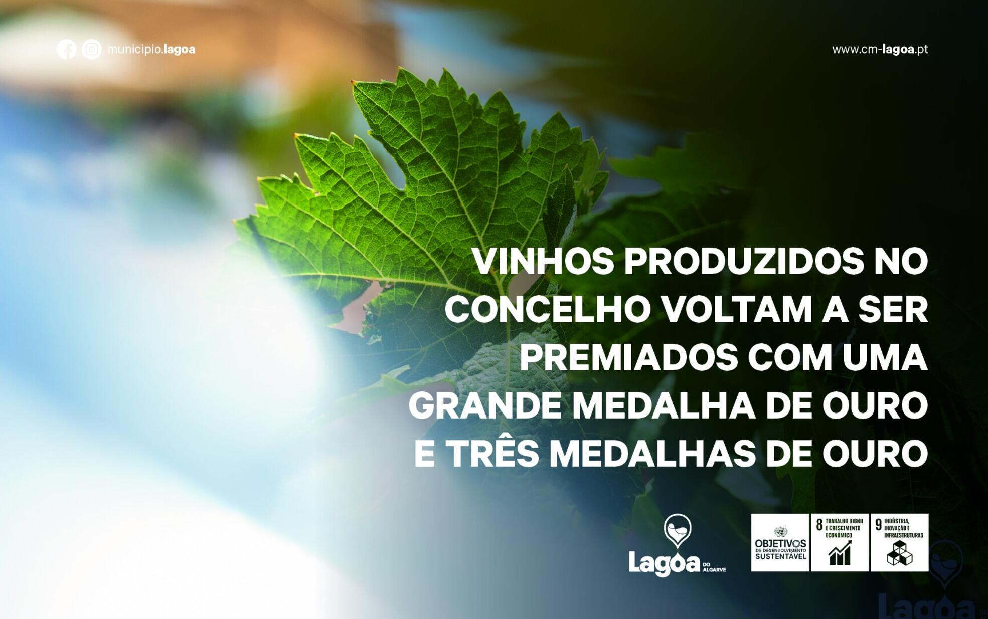 Vinhos de Lagoa voltam a ser premiados no Concurso “Cidades do Vinho”