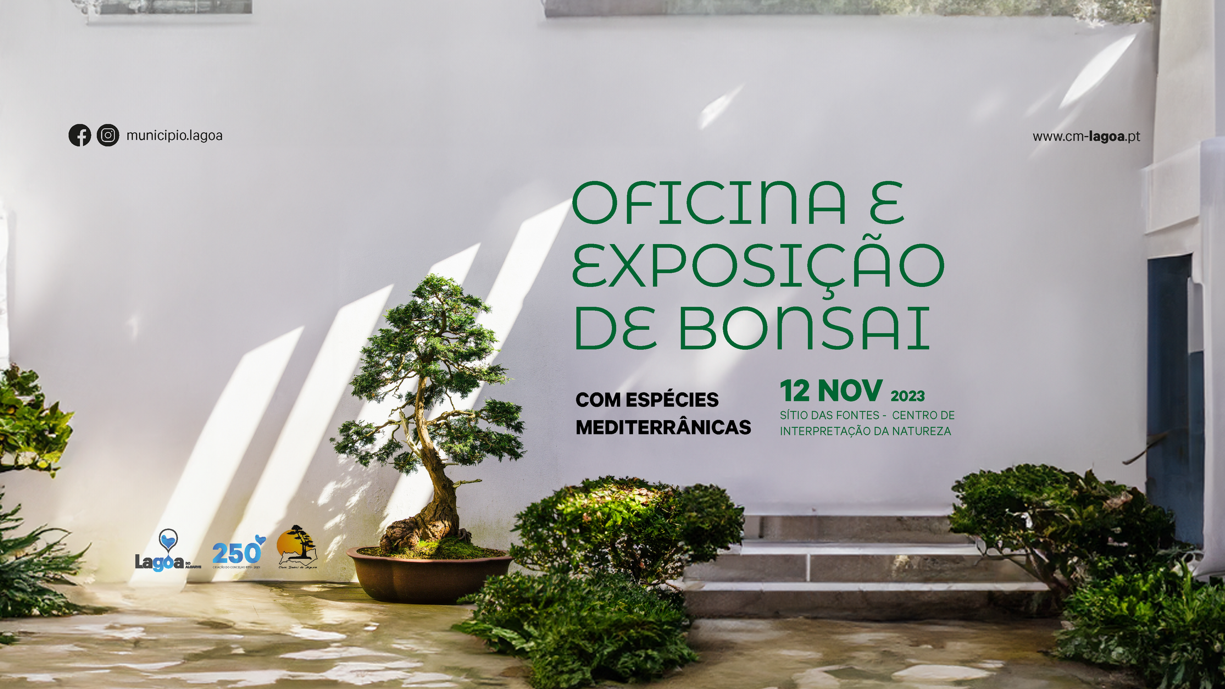 "Oficina e Exposição de Bonsai com espécies Mediterrânicas